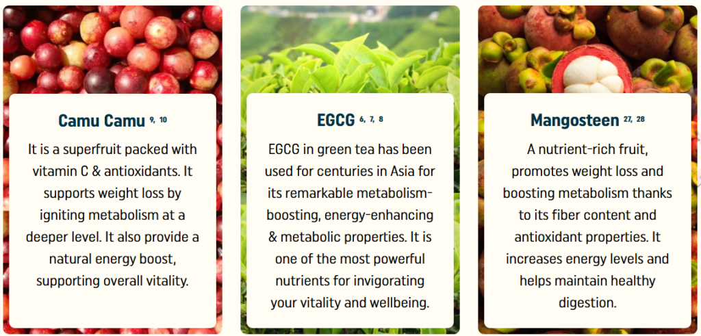 Nagano Lean Body Tonic Reviews and Complaints: Truth 3 Screenshot 2024 12 17 175322