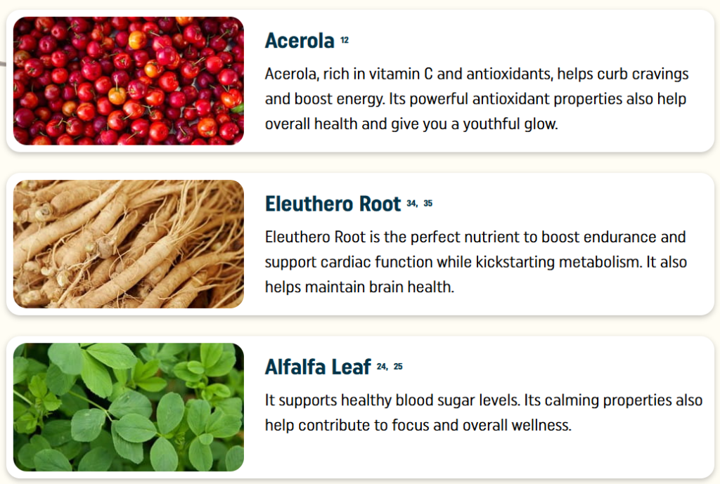 Nagano Lean Body Tonic Reviews and Complaints: Truth 5 Screenshot 2024 12 17 175355